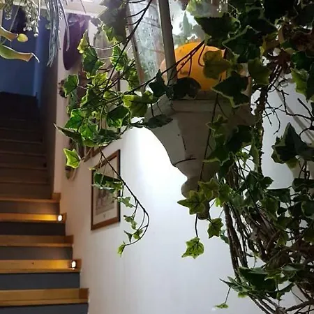 Apartamento Casa Kalos
